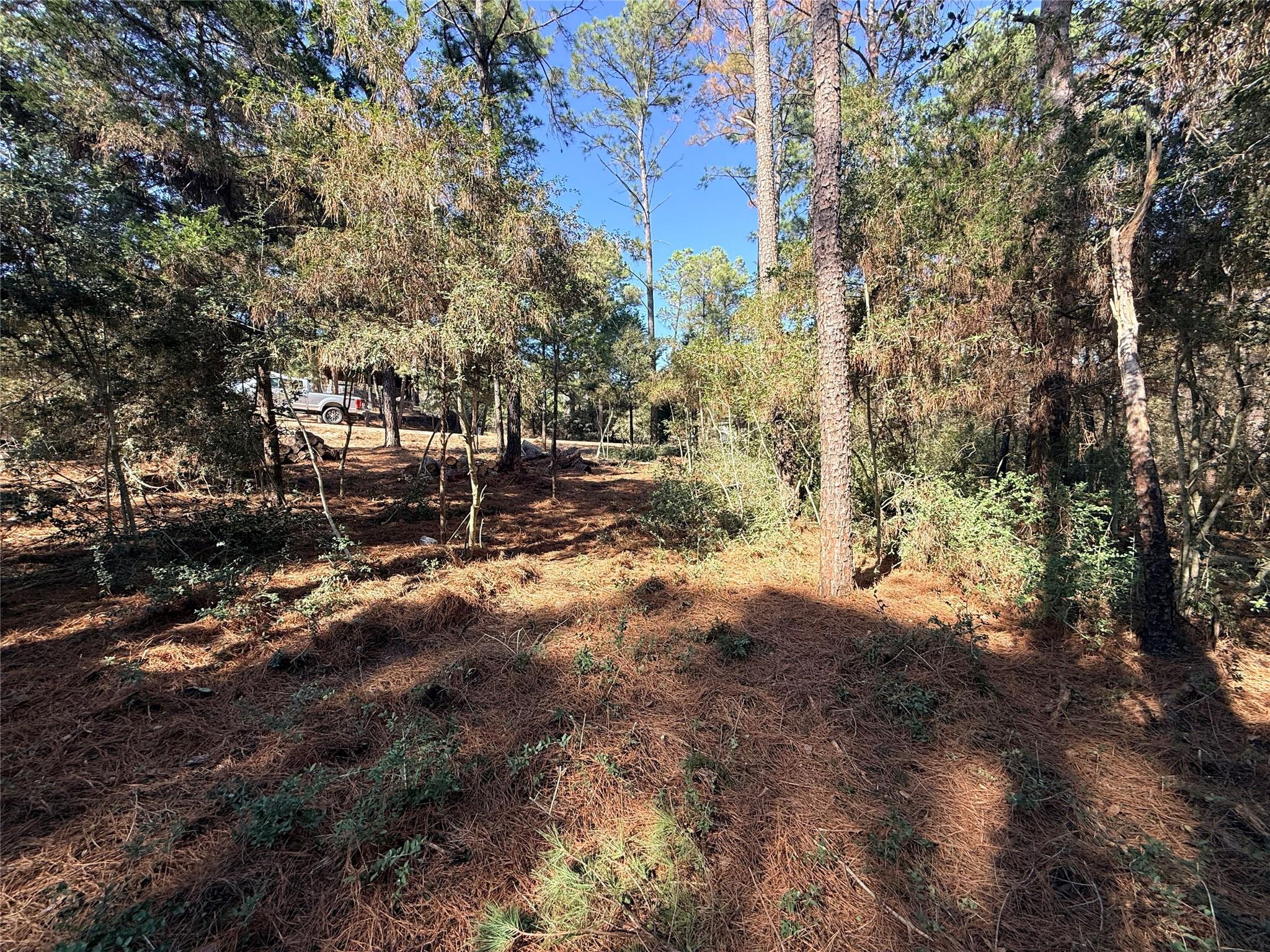 Lot 59 S. Hill Ridge Road Bastrop TX 78602