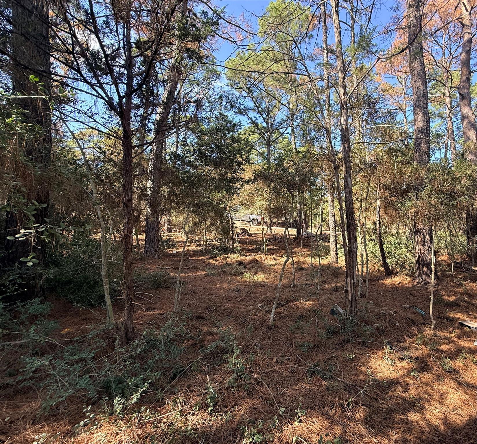 Lot 59 S. Hill Ridge Road Bastrop TX 78602