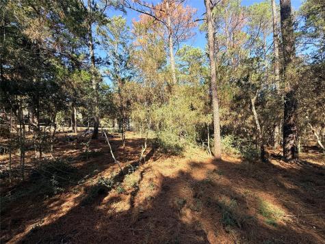 Lot 59 S. Hill Ridge Road Bastrop TX 78602