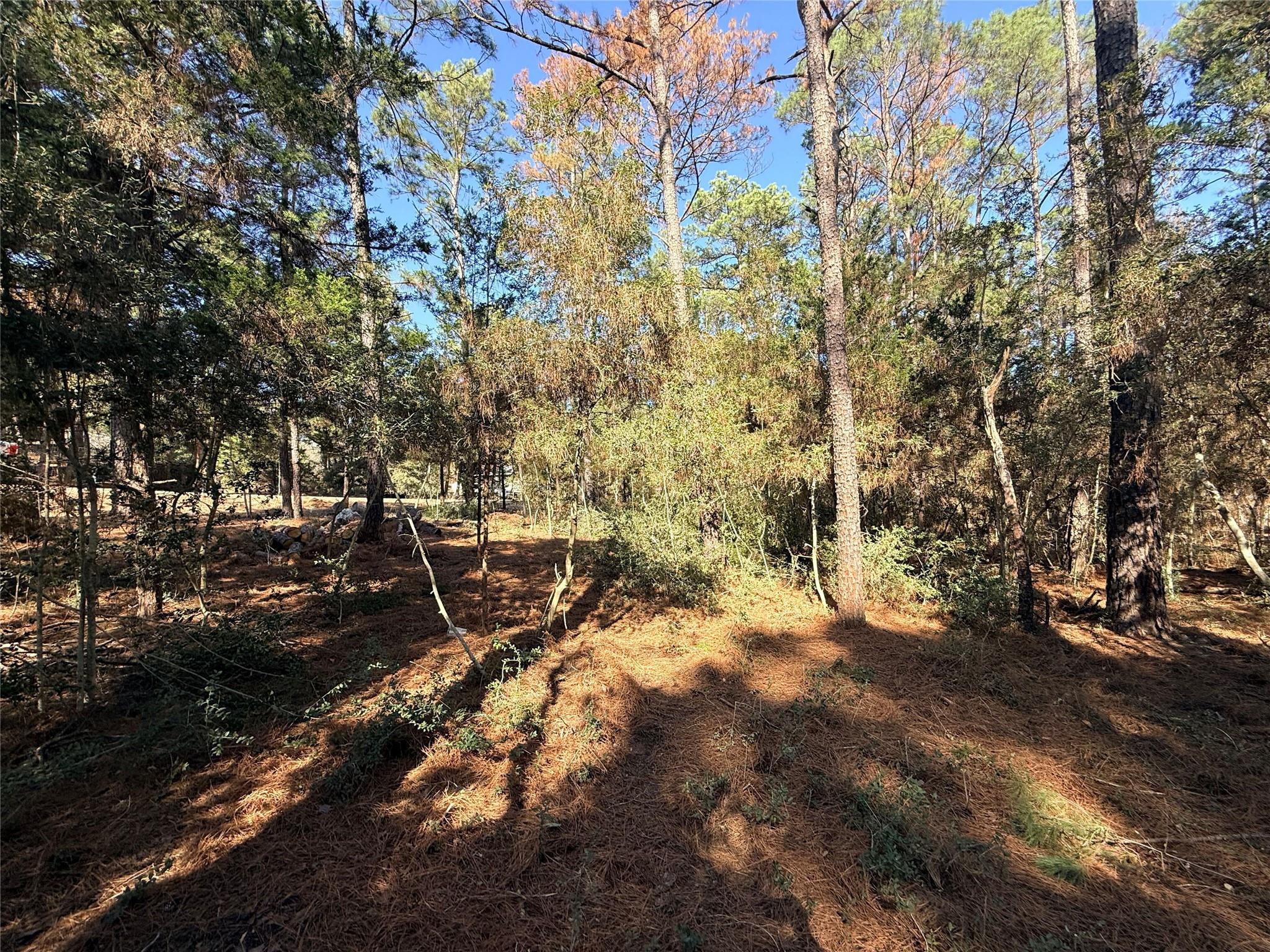 Lot 59 S. Hill Ridge Road Bastrop TX 78602