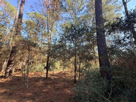 Lot 59 S. Hill Ridge Road Bastrop TX 78602