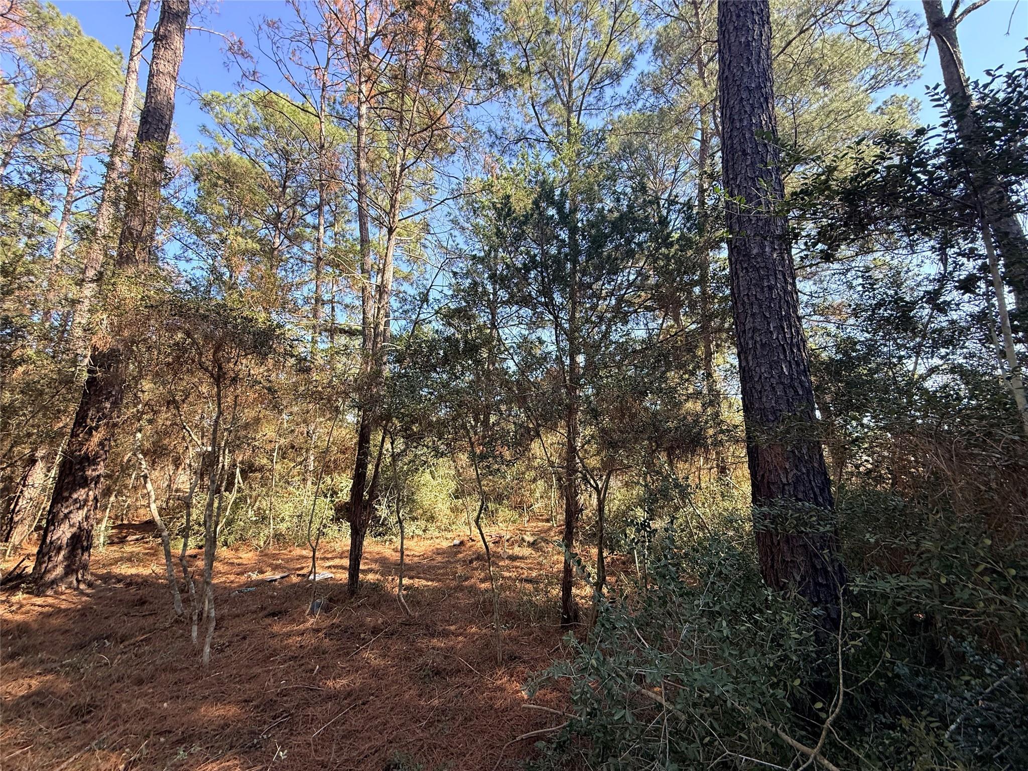 Lot 59 S. Hill Ridge Road Bastrop TX 78602