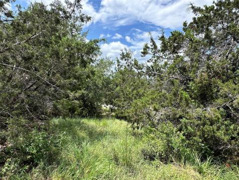 109 Cowal Drive N Spicewood TX 78669