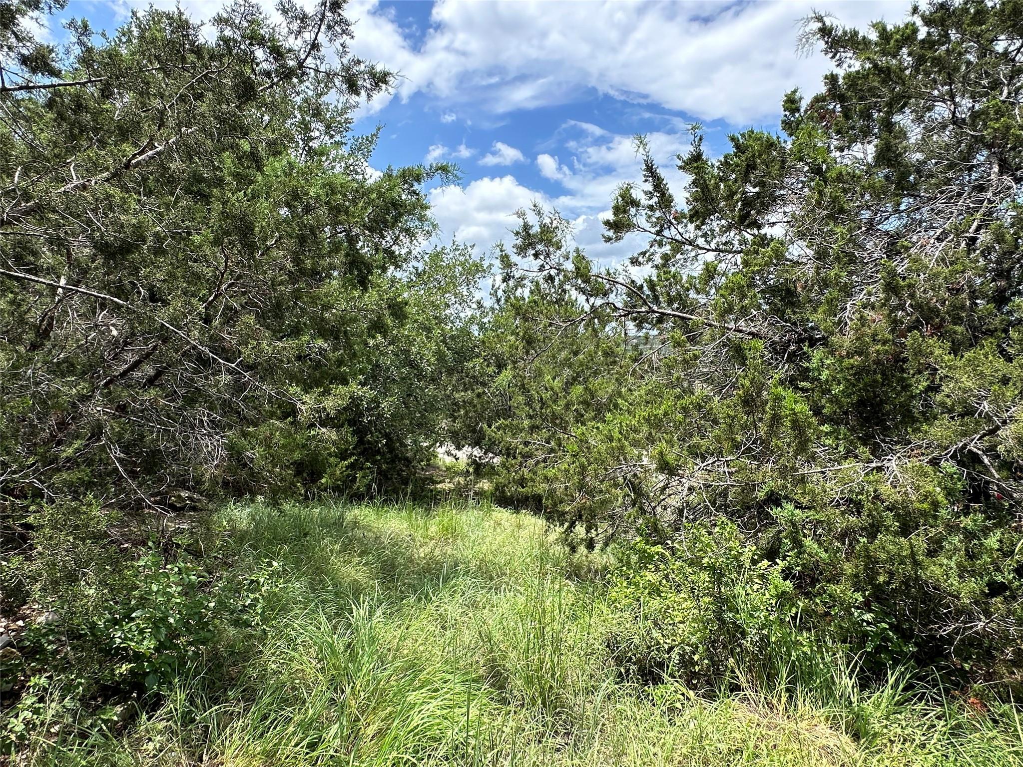 109 Cowal Drive N Spicewood TX 78669