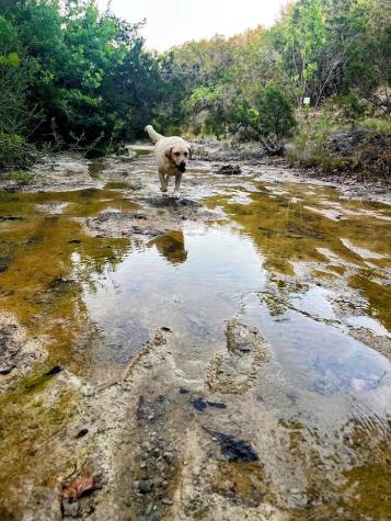1930 S Rainbow Ranch Road Wimberley TX 78676