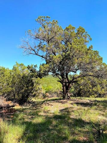 1930 S Rainbow Ranch Road Wimberley TX 78676