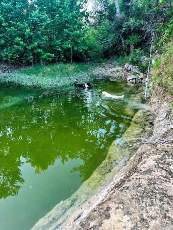 1930 S Rainbow Ranch Road Wimberley TX 78676