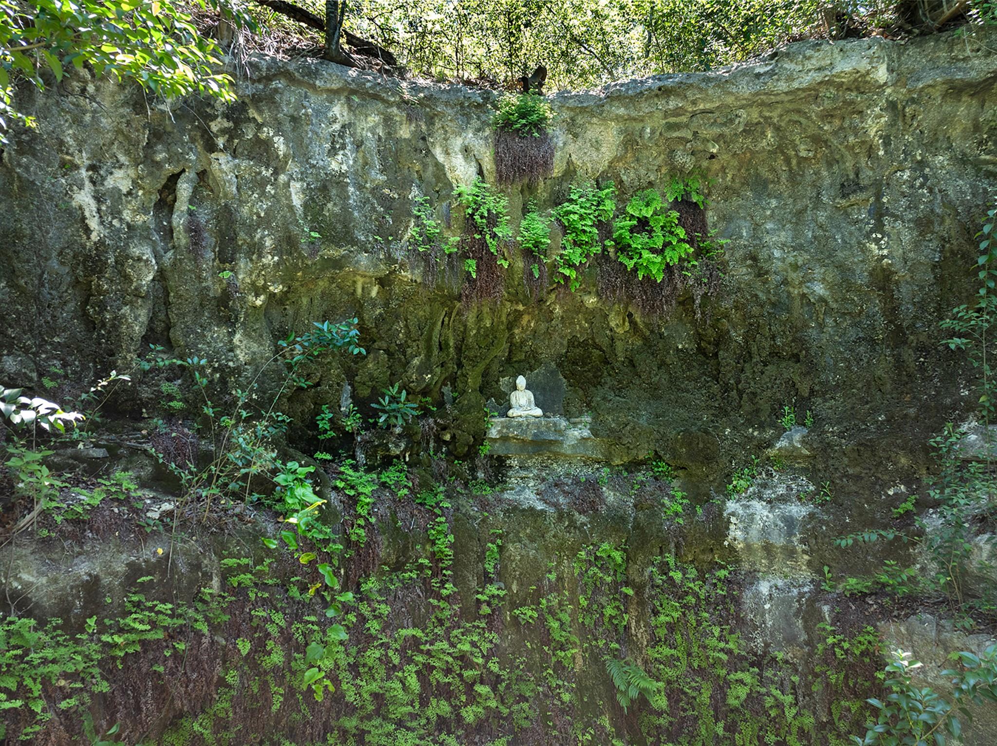 1 Shadybrook Cove Austin TX 78746