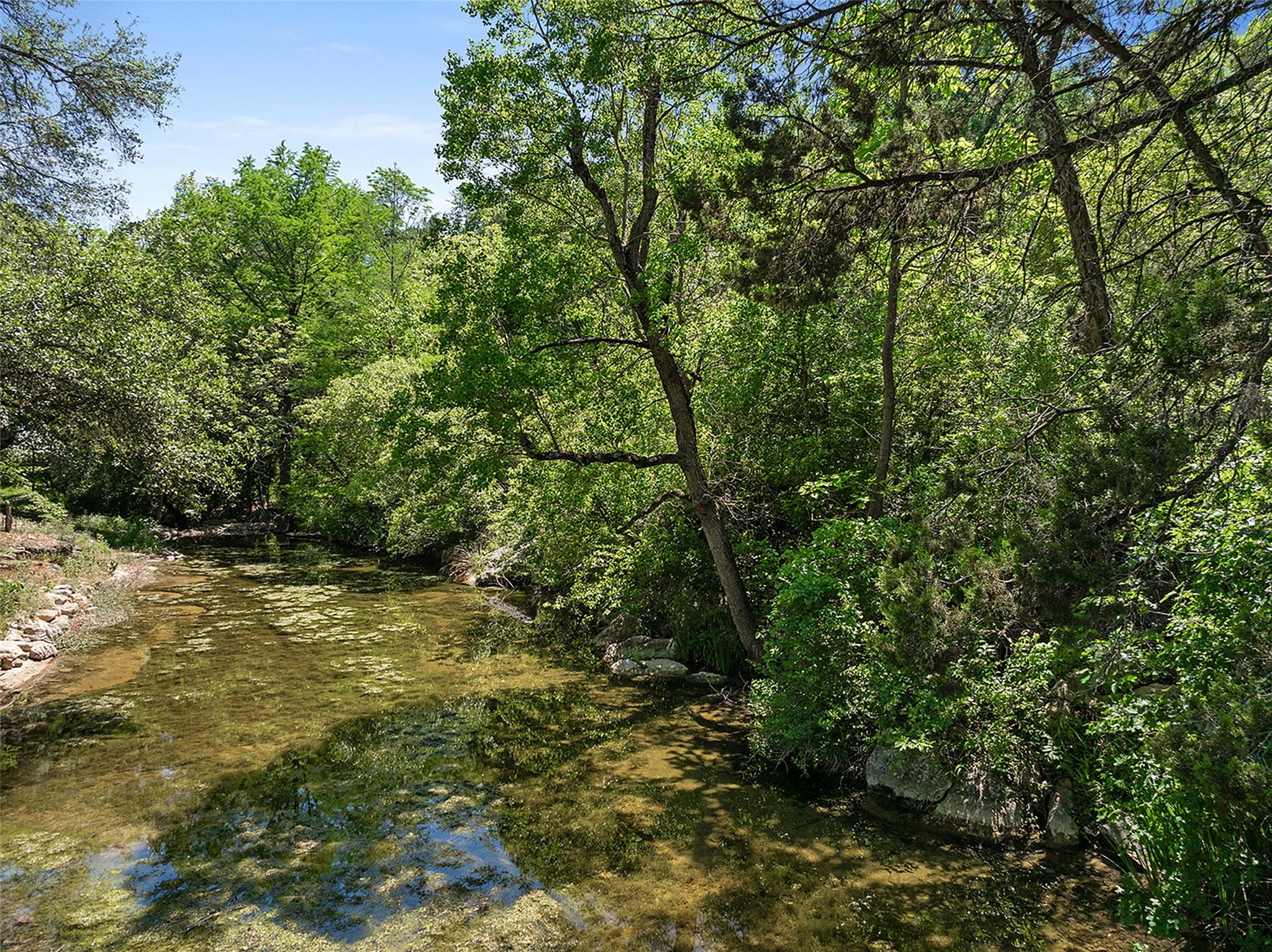 1 Shadybrook Cove Austin TX 78746