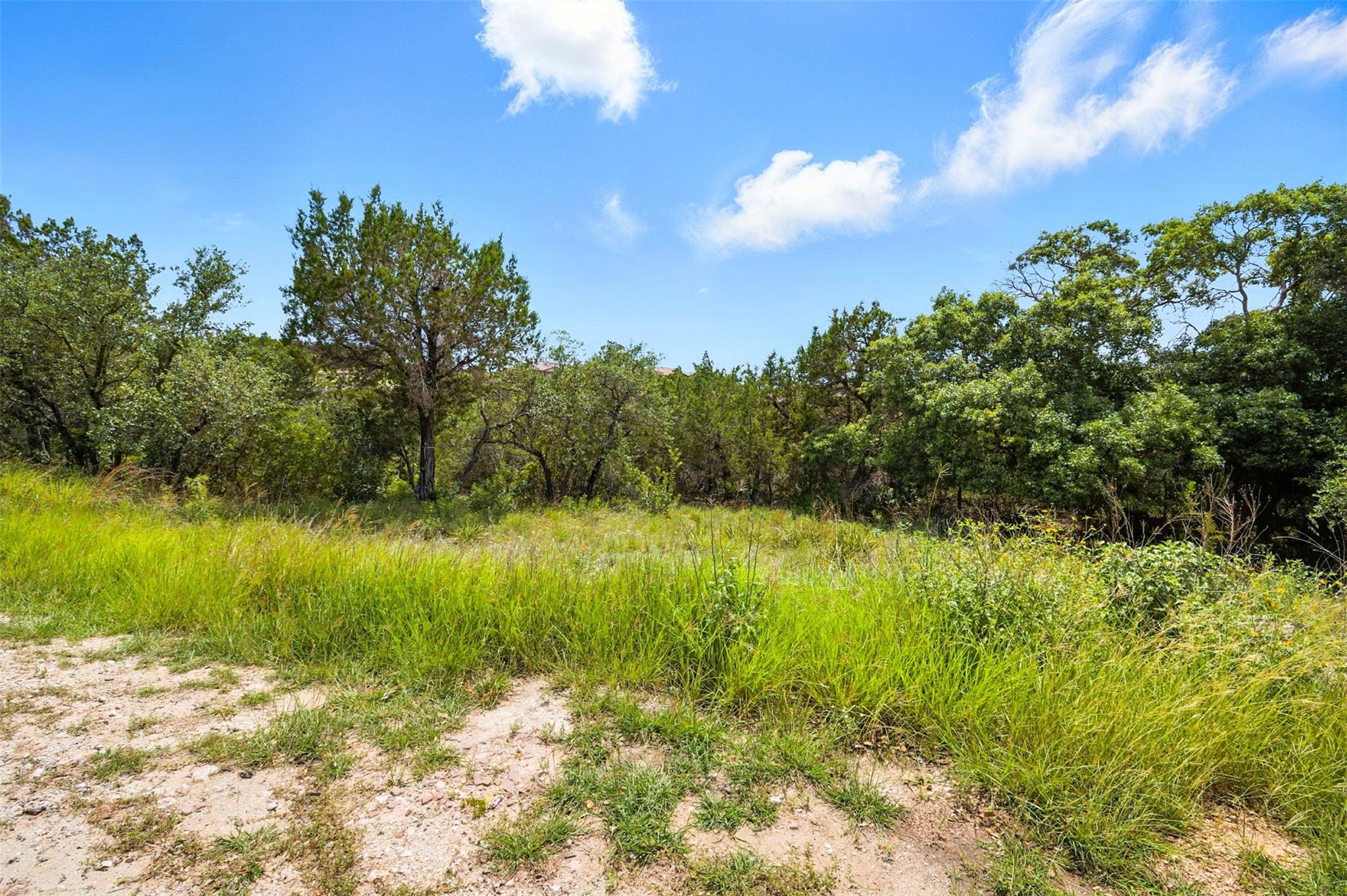 14618 Mansfield Dam Court Austin TX 78734