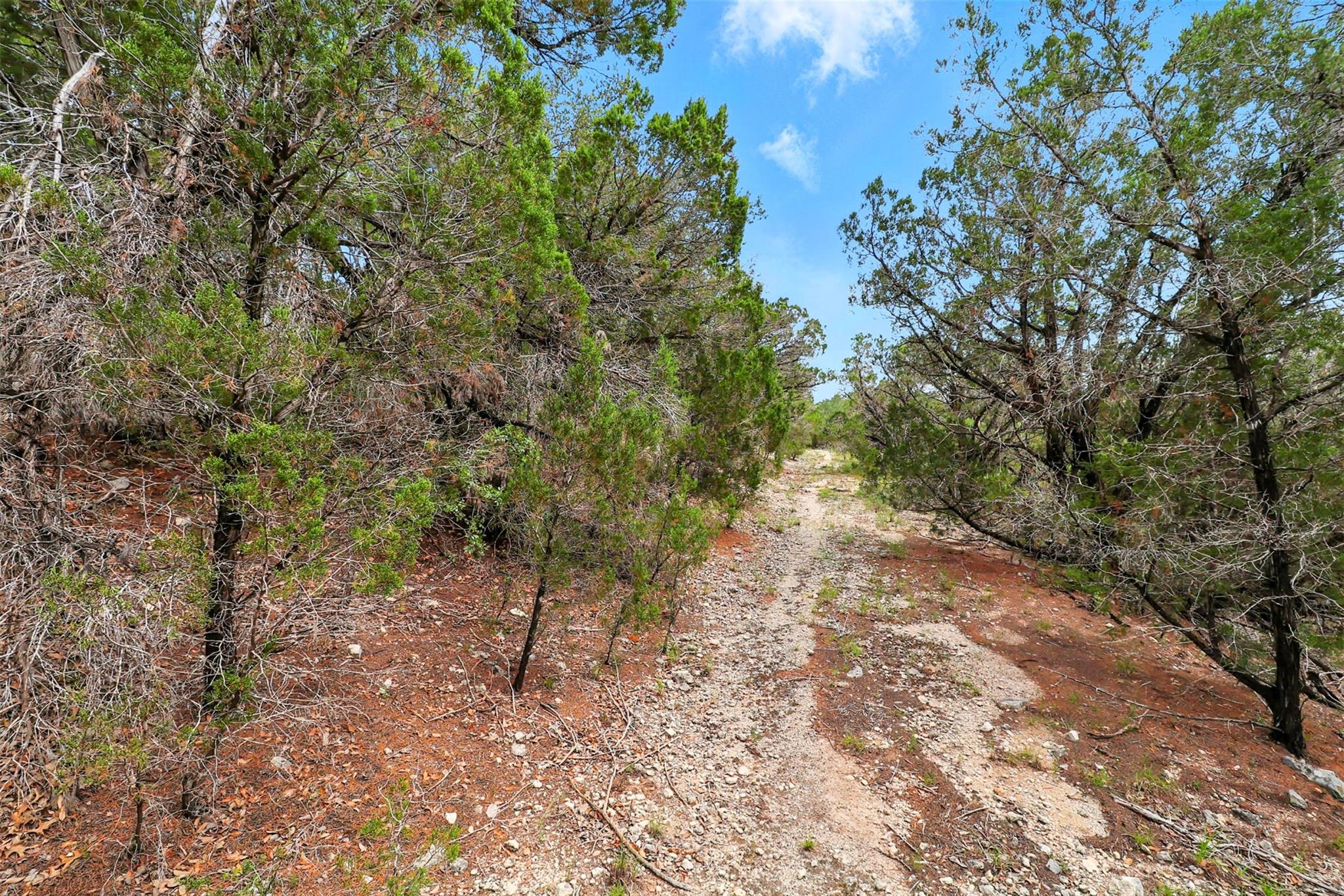 14618 Mansfield Dam Court Austin TX 78734