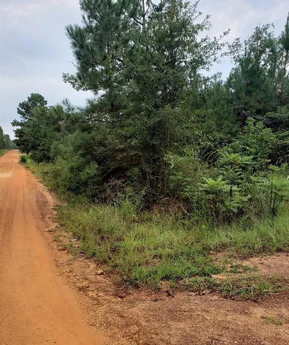 133 Barbara Trail Livingston TX 77351