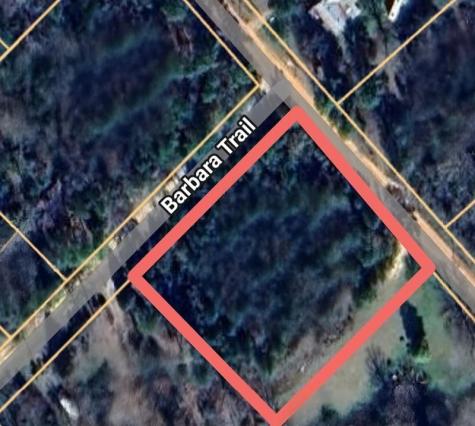 133 Barbara Trail Livingston TX 77351