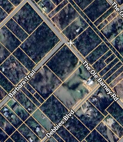 133 Barbara Trail Livingston TX 77351