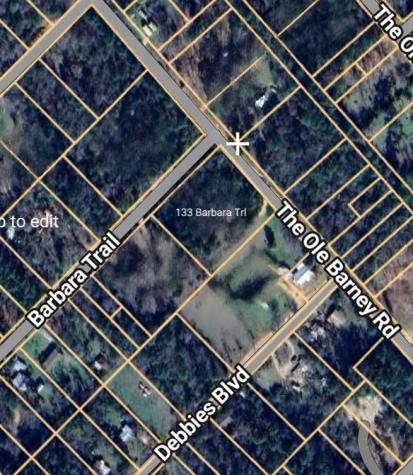 133 Barbara Trail Livingston TX 77351