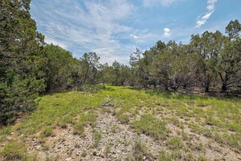 Tbd Windy Hills Road Dripping Springs TX 78620