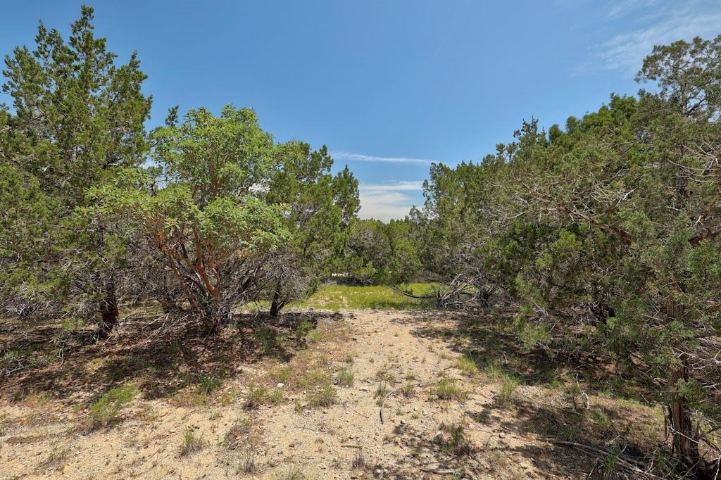 Tbd Windy Hills Road Dripping Springs TX 78620