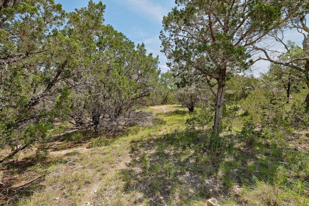 Tbd Windy Hills Road Dripping Springs TX 78620