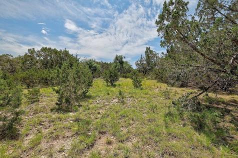 Tbd Windy Hills Road Dripping Springs TX 78620