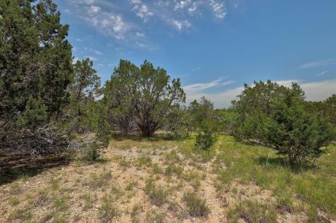 Tbd Windy Hills Road Dripping Springs TX 78620
