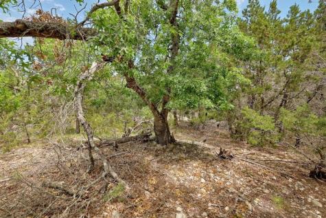 Tbd Windy Hills Road Dripping Springs TX 78620