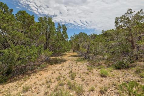 Tbd Windy Hills Road Dripping Springs TX 78620