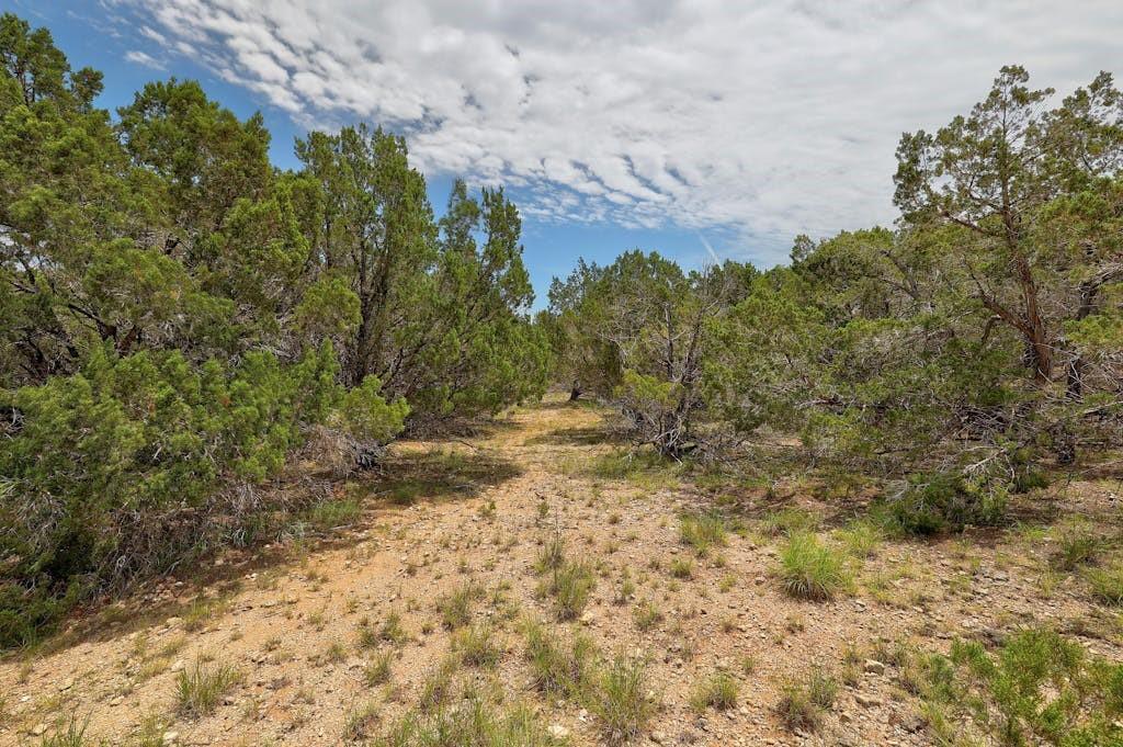 Tbd Windy Hills Road Dripping Springs TX 78620