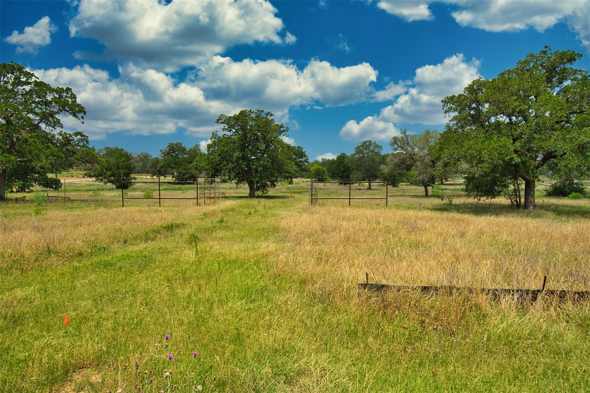 101 Ferguson Loop Dale TX 78616