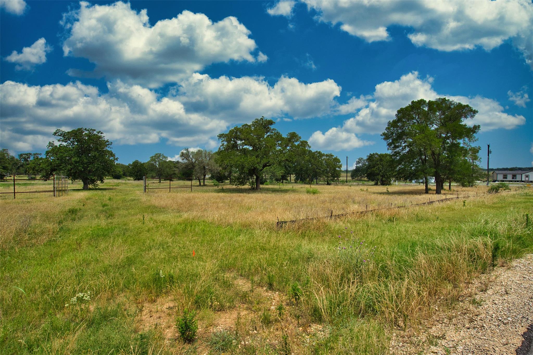 101 Ferguson Loop Dale TX 78616