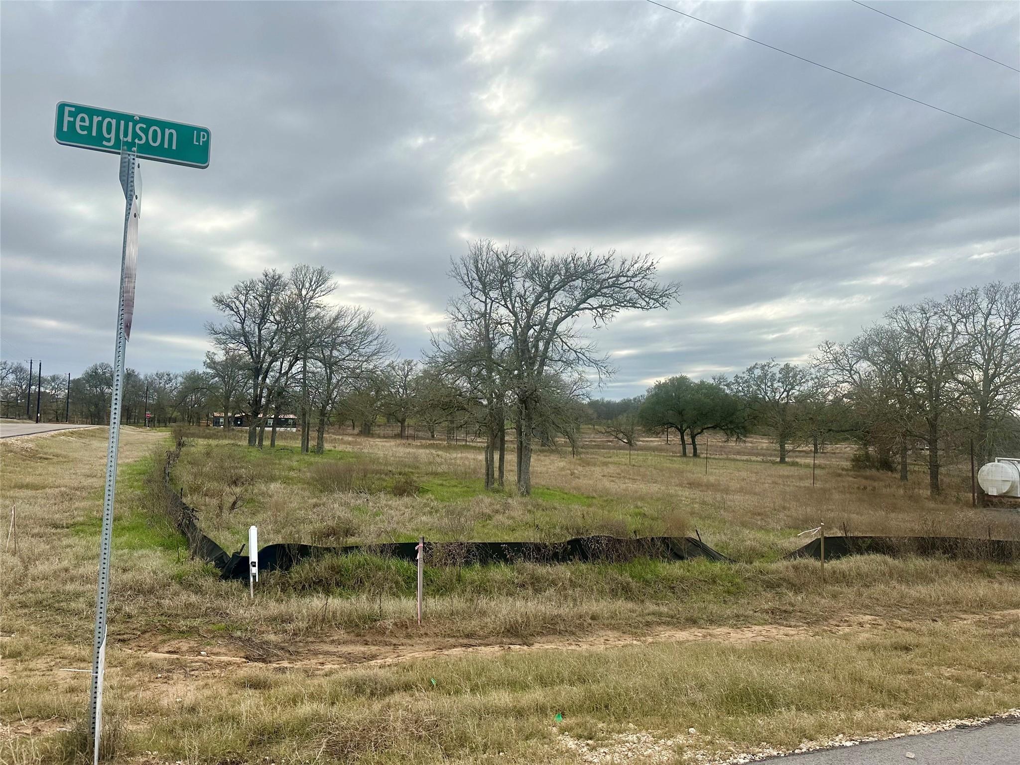 101 Ferguson Loop Dale TX 78616