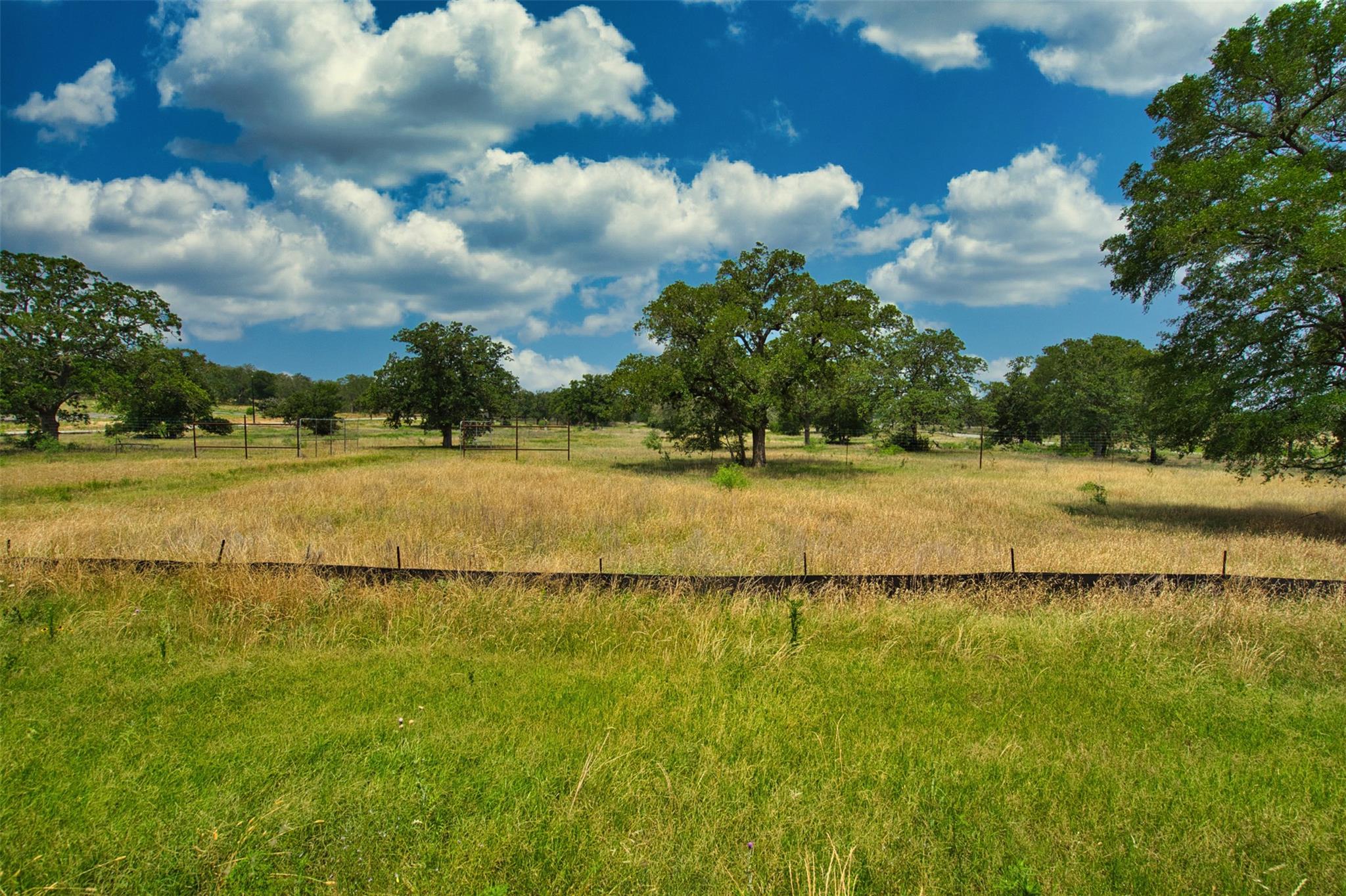 101 Ferguson Loop Dale TX 78616