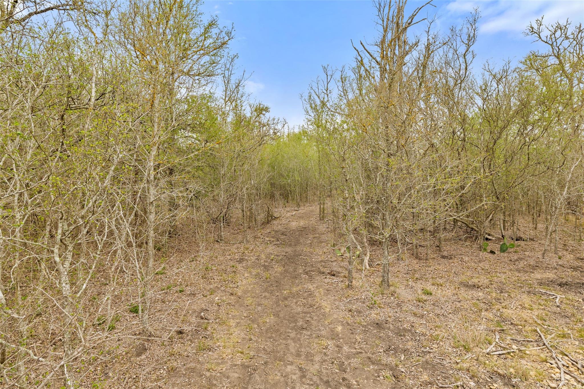 9426 Bock Road Buda TX 78610