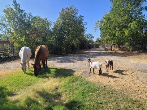 9426 Bock Road Buda TX 78610