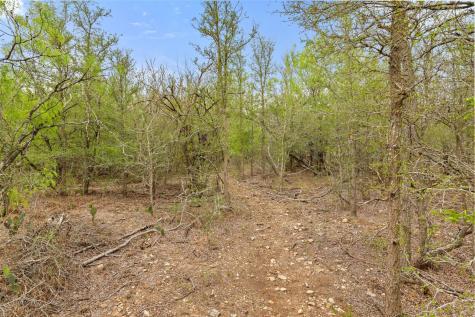 9426 Bock Road Buda TX 78610