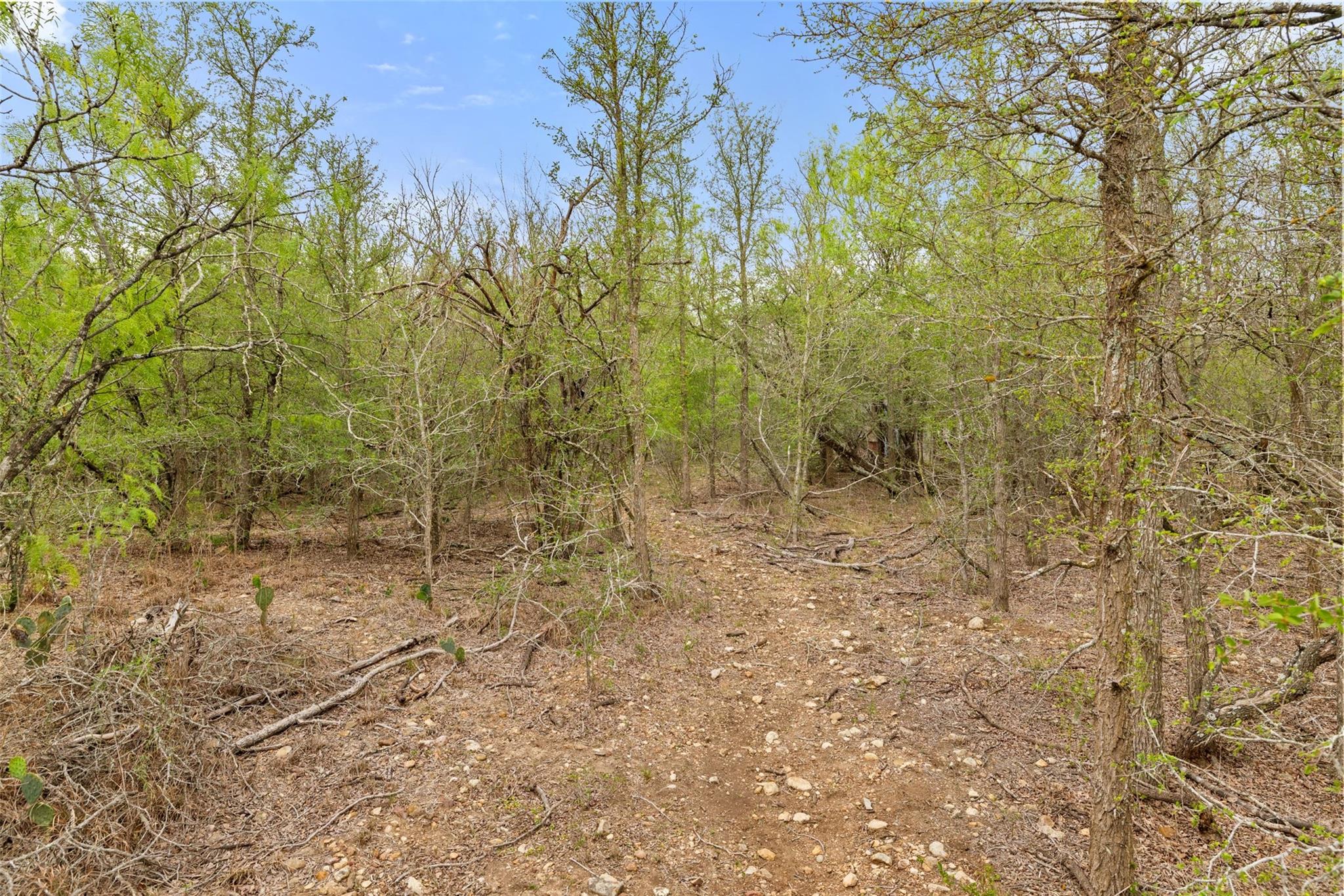 9426 Bock Road Buda TX 78610