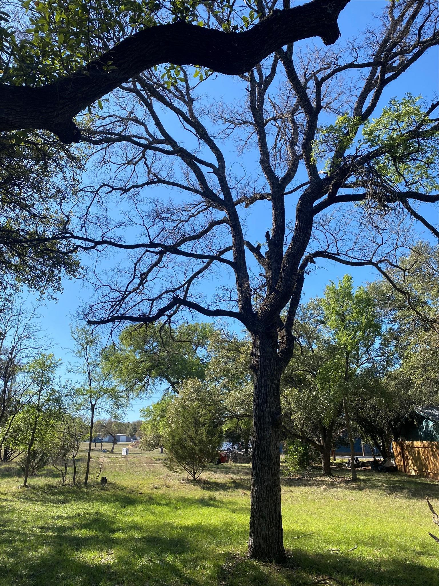 Tbd Las Flores Wimberley TX 78676
