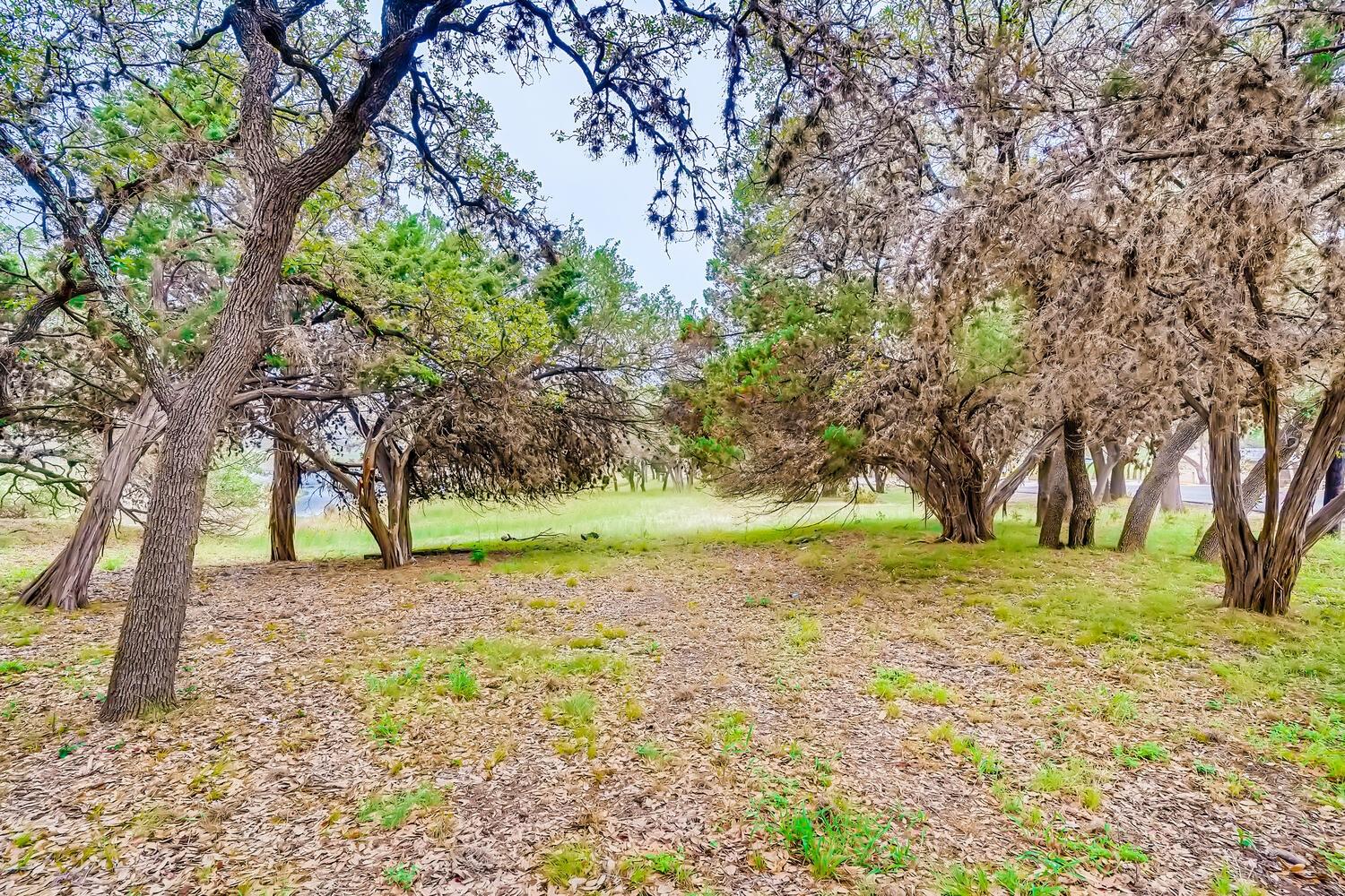 6703 Bar K Ranch Lago Vista TX 78645