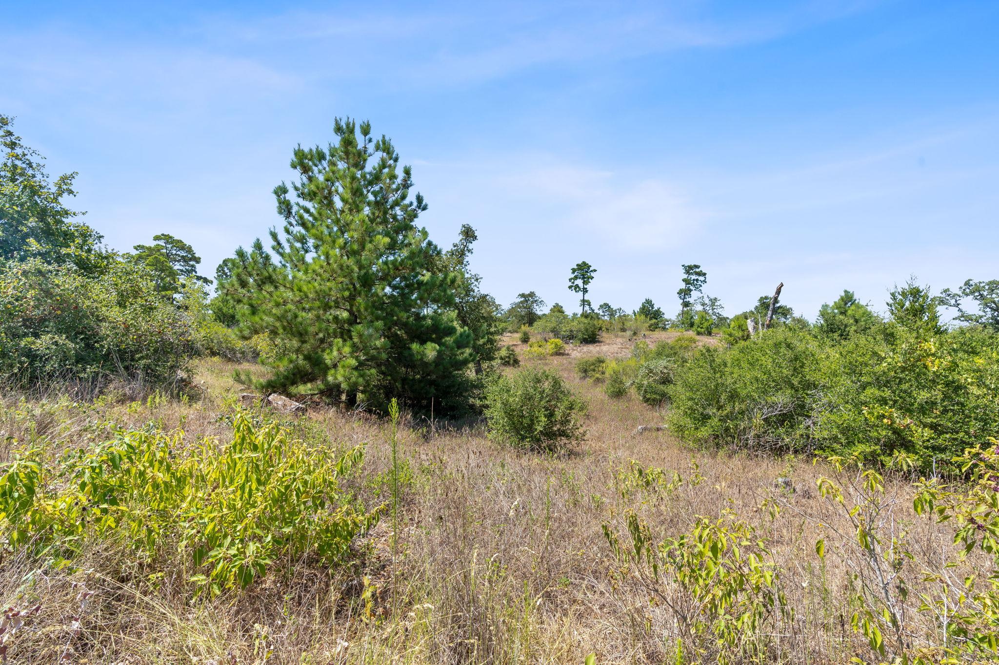 400 Mcallister Road Bastrop TX 78602