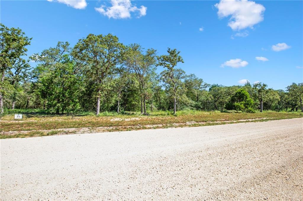 1136 Oak View Lane Thrall TX 76578