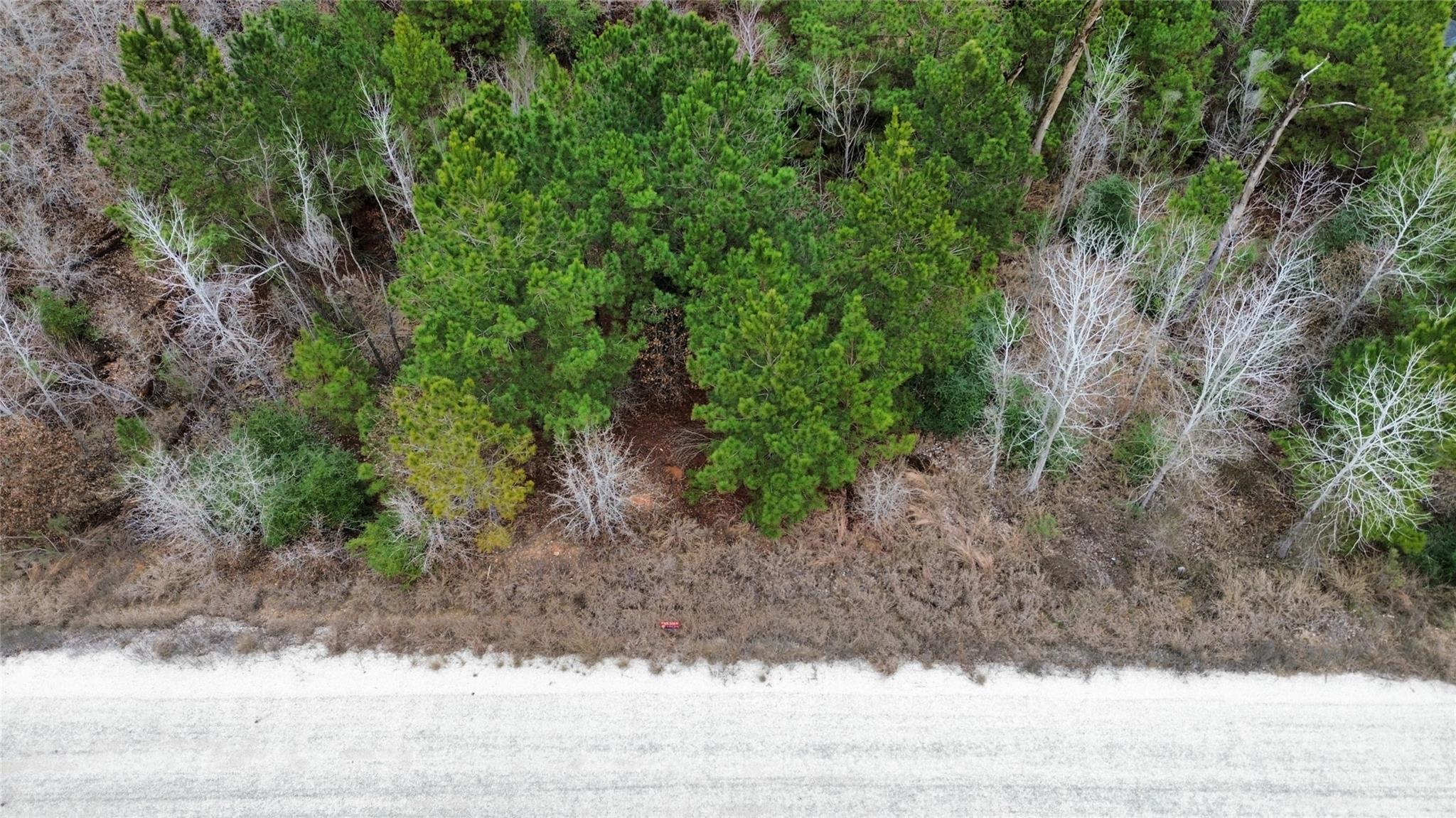 Lot 186 / R32327 Keo Kea Court Bastrop TX 78602