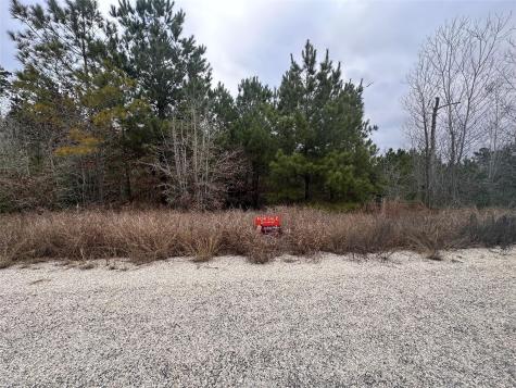 Lot 186 / R32327 Keo Kea Court Bastrop TX 78602