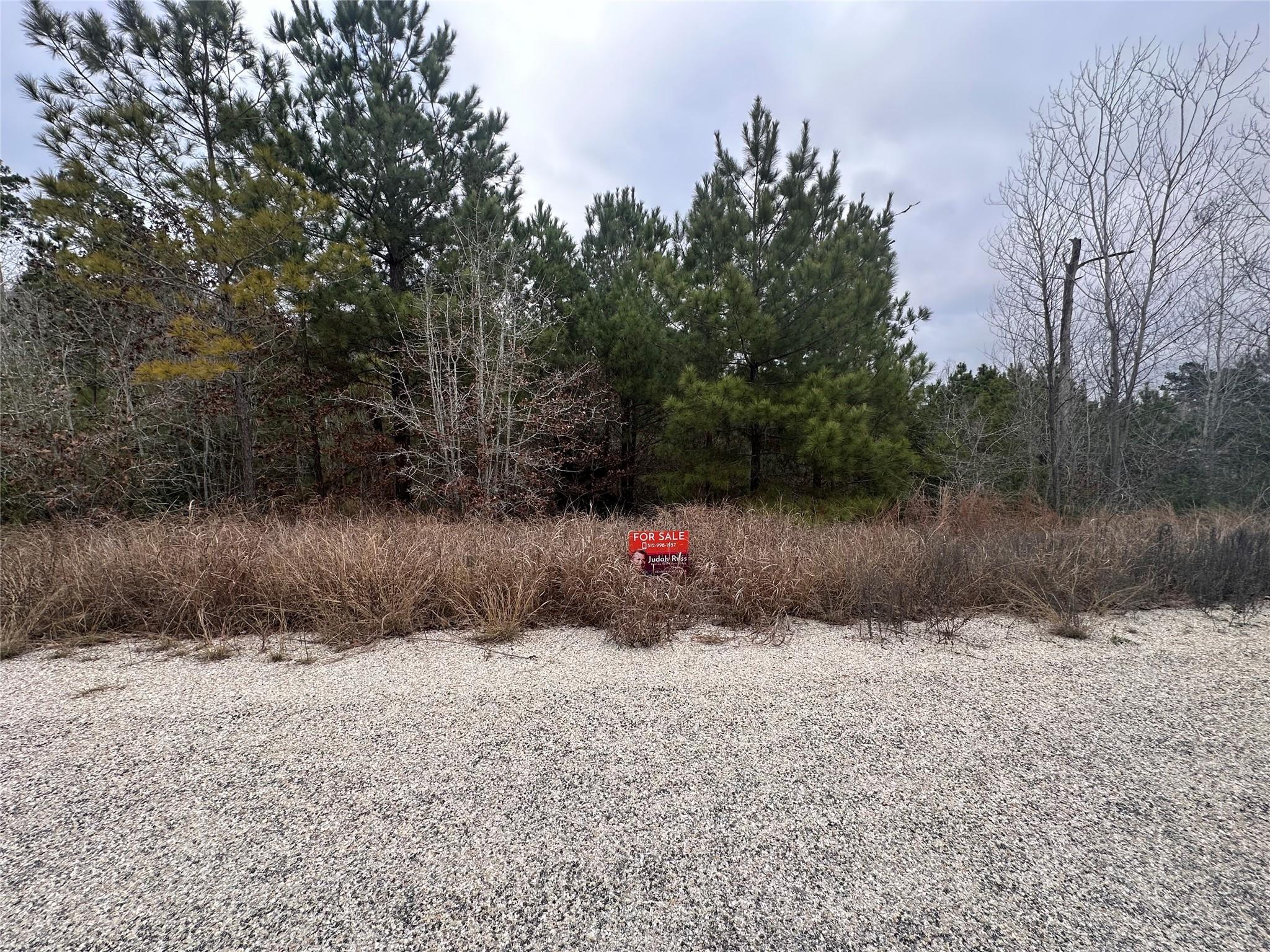 Lot 186 / R32327 Keo Kea Court Bastrop TX 78602