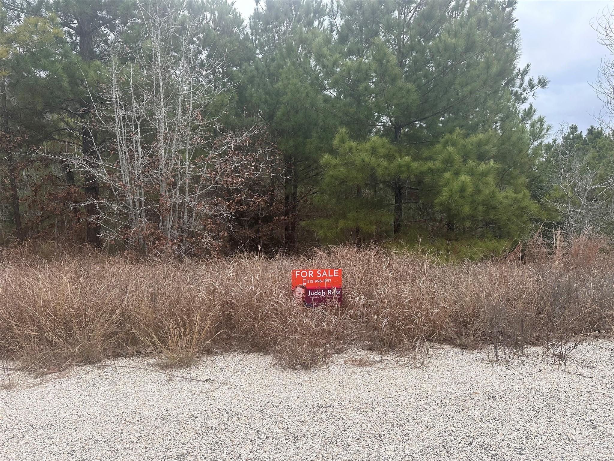 Lot 186 / R32327 Keo Kea Court Bastrop TX 78602