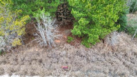 Lot 186 / R32327 Keo Kea Court Bastrop TX 78602
