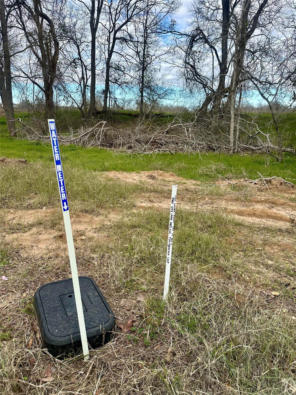 534 Ferguson Loop Dale TX 78616