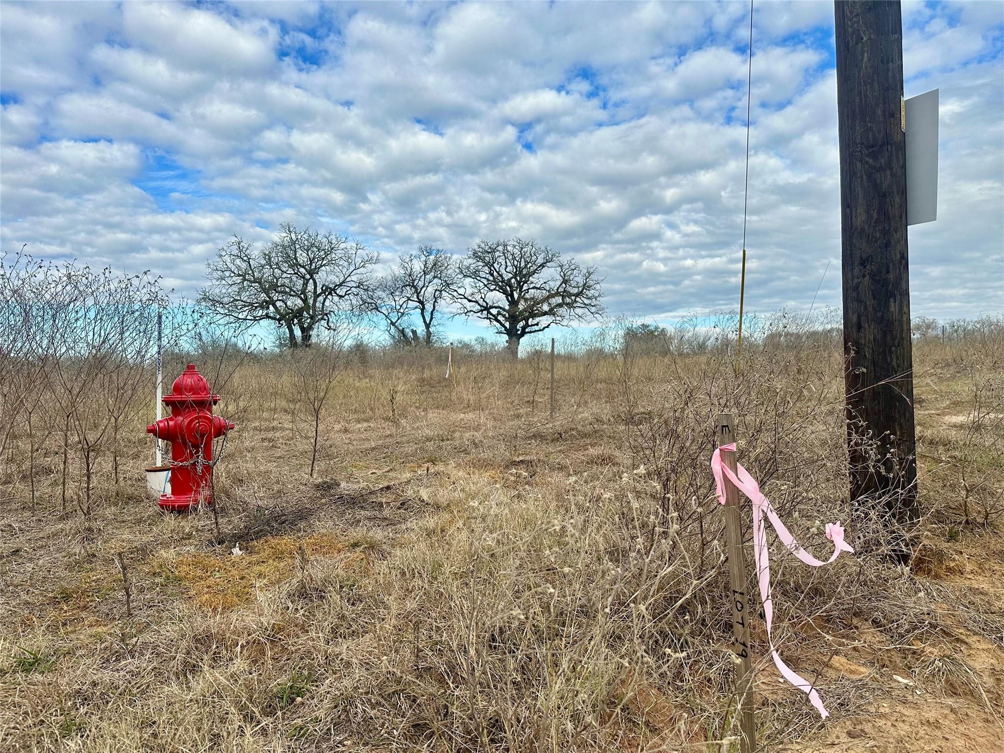 534 Ferguson Loop Dale TX 78616