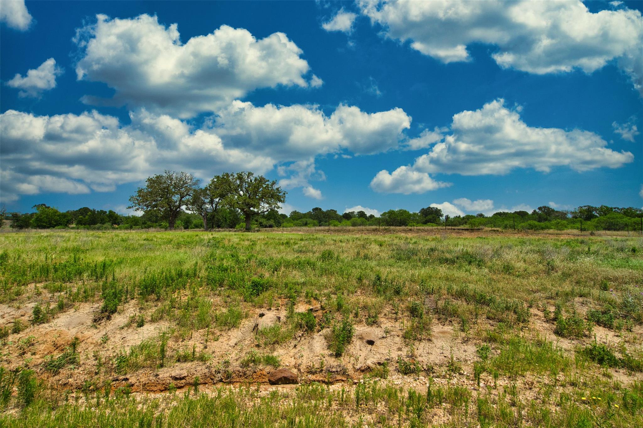 534 Ferguson Loop Dale TX 78616