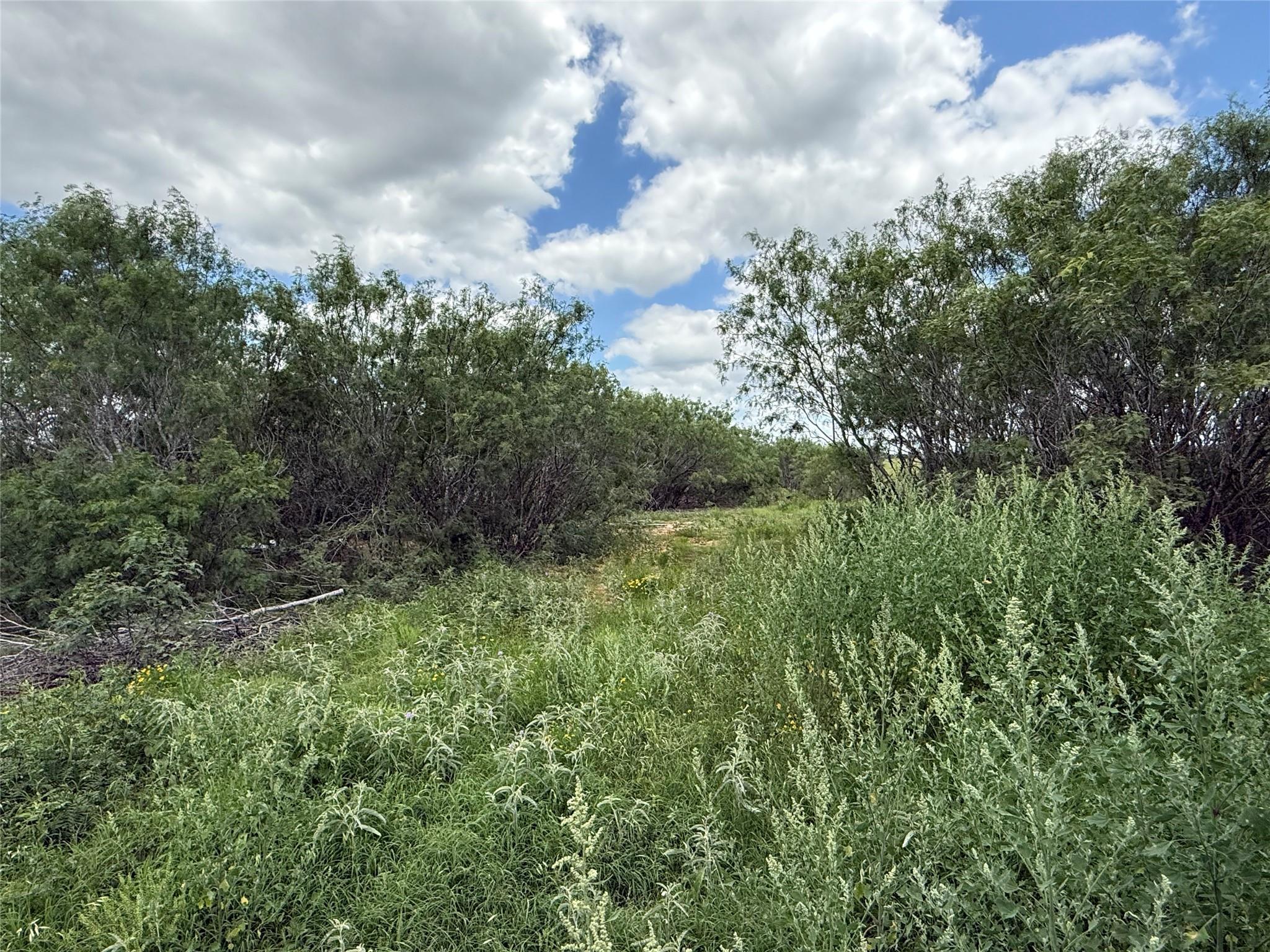 Tbd 000 Pettytown Road Red Rock TX 78662