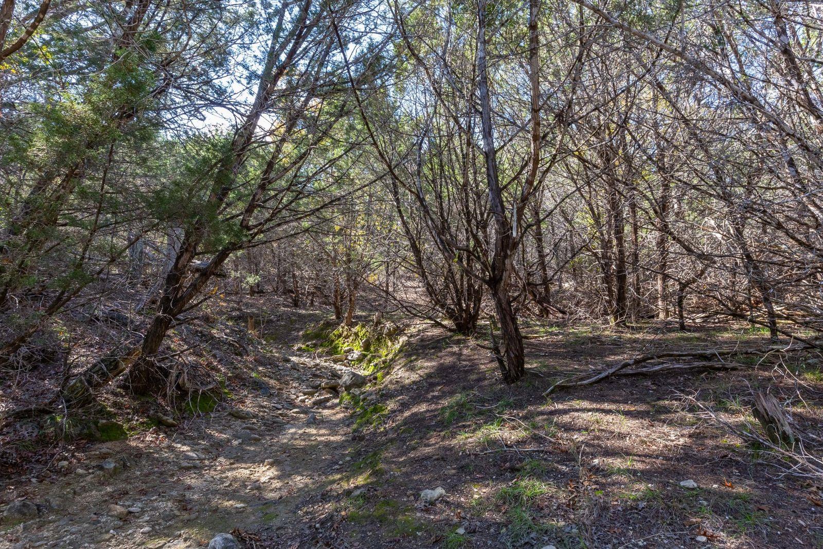 Lot 101 Montana Creek Crossing Marble Falls TX 78654