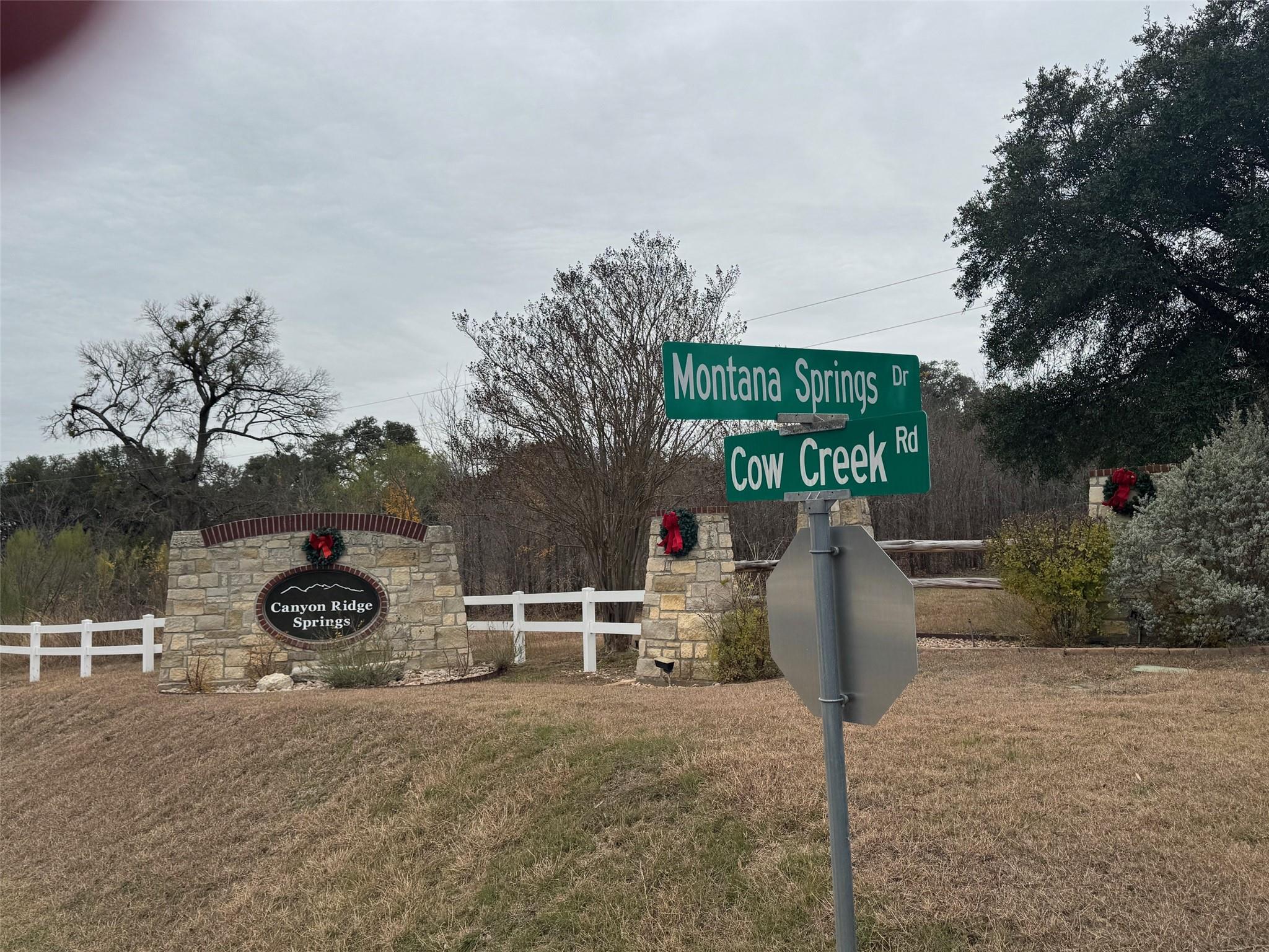 Lot 101 Montana Creek Crossing Marble Falls TX 78654